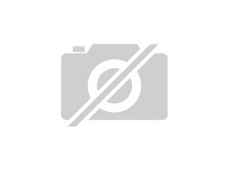 Suche dringend english blue rattenweibchen